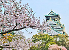 冬奥会里的生活美学：让科技点亮每一次滑行